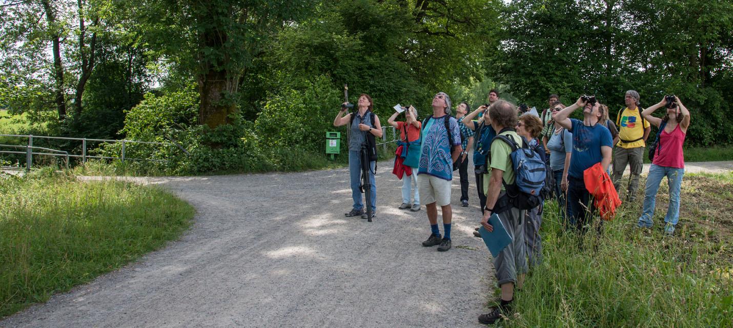 Excursion ornithologique